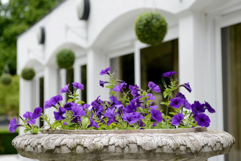 Buckatree Hall By Hamlet Hotels เทลฟอร์ด ภายนอก รูปภาพ